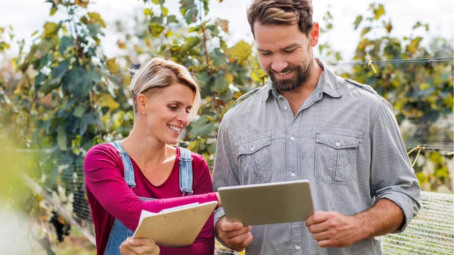 Newsletter CLEMENS Technologies