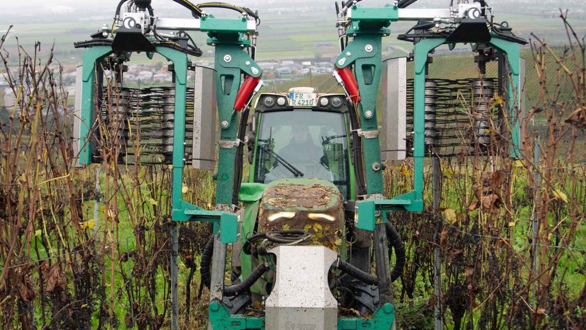 CLEMENS - Vorschneider