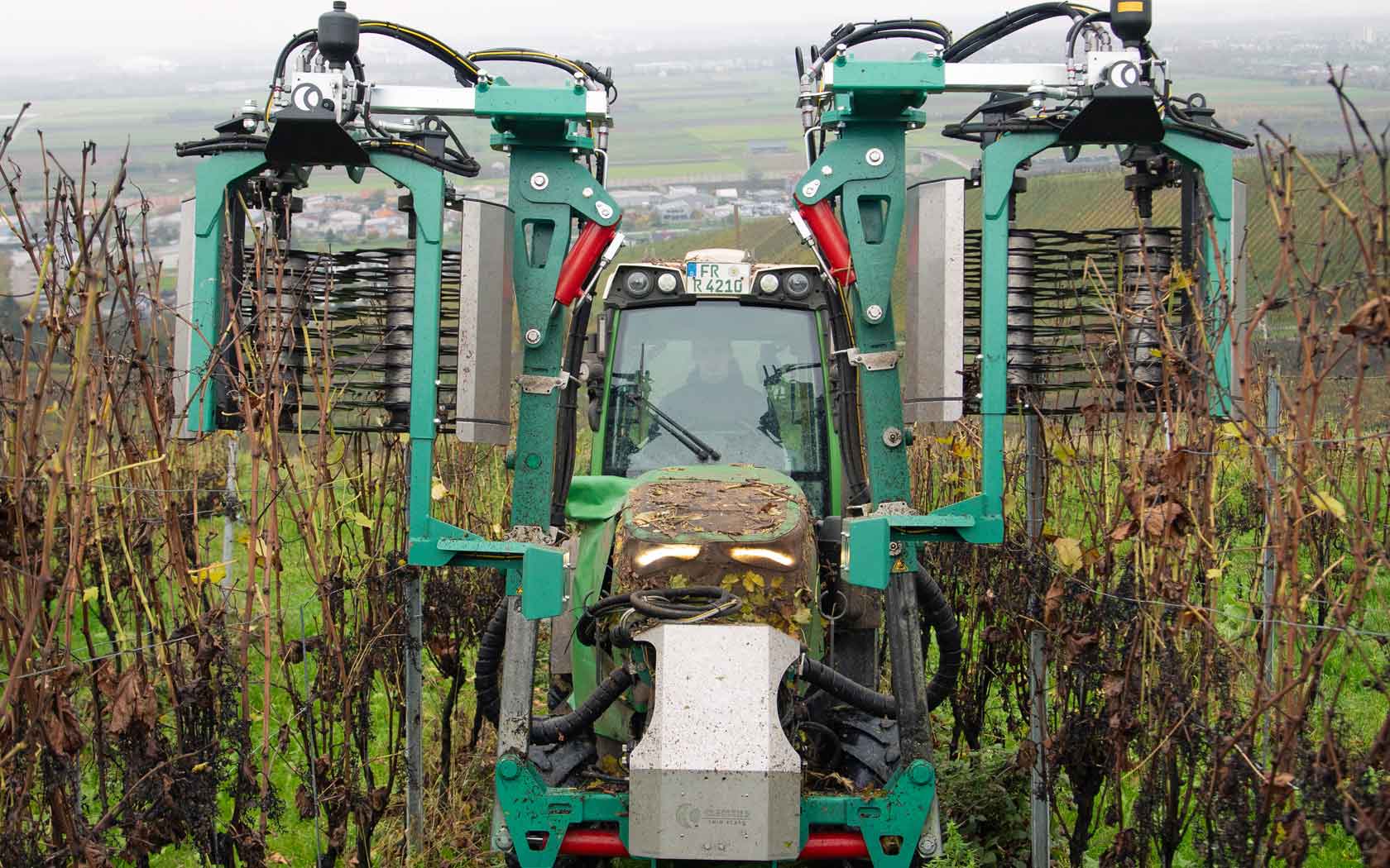 CLEMENS - Vorschneider